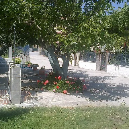 Maria Tseliou Appartement